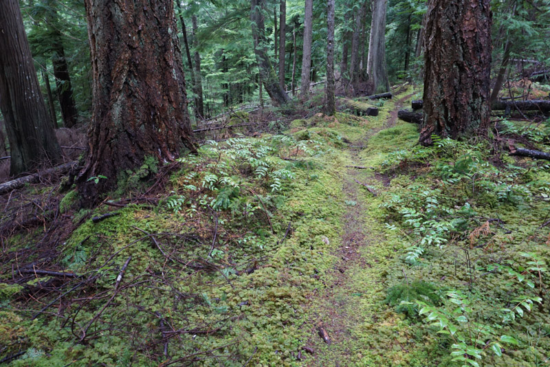 Green Valley – Visit Cortes Island